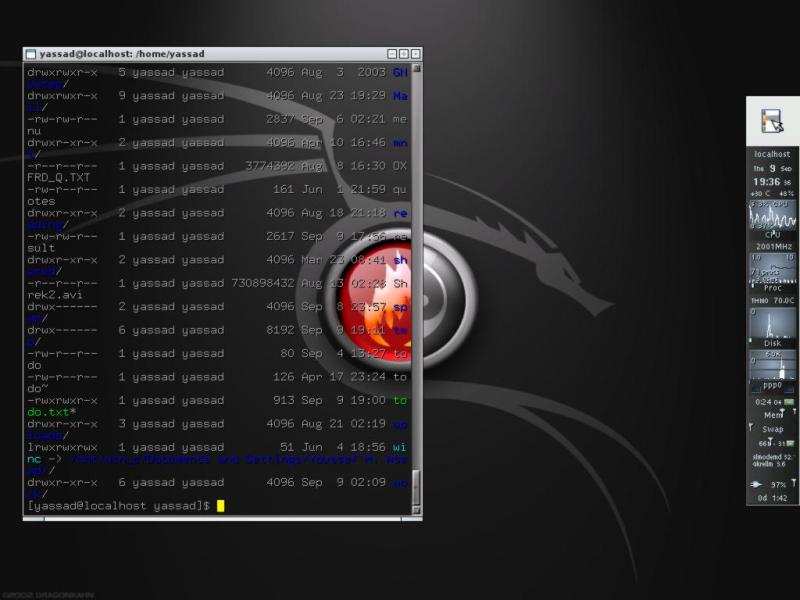 My funky Eterm / root window combination