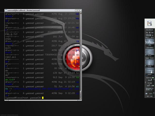 My funky Eterm / root window combination