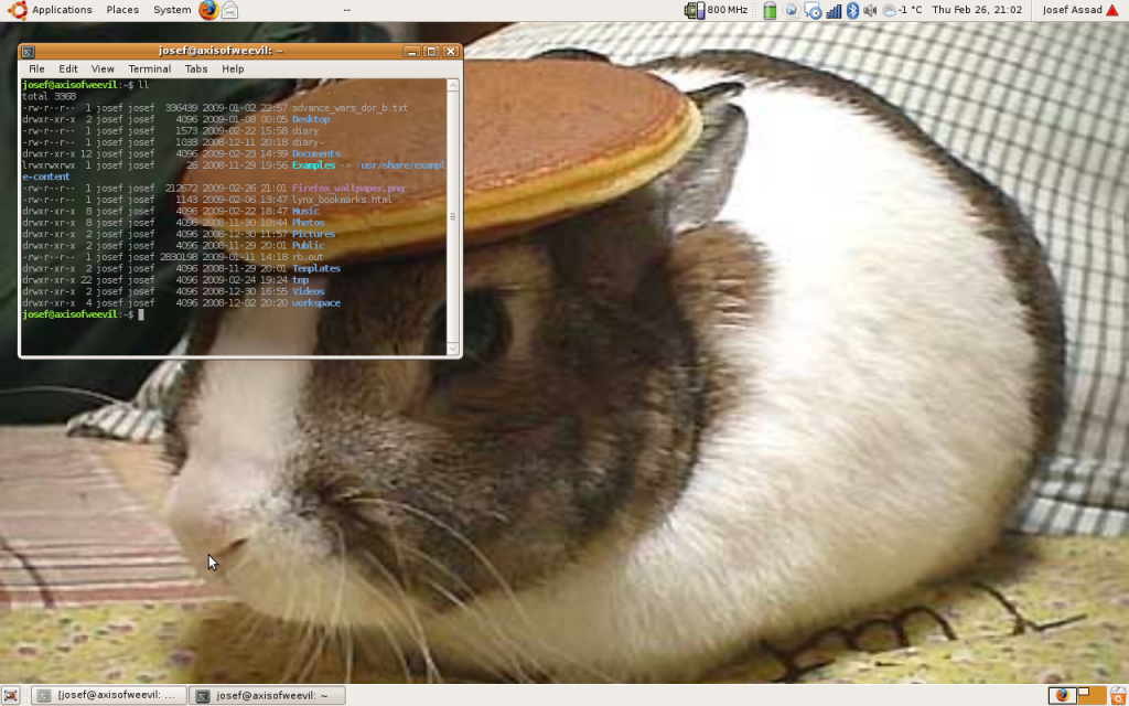 My gnome in my ubuntu in my linux