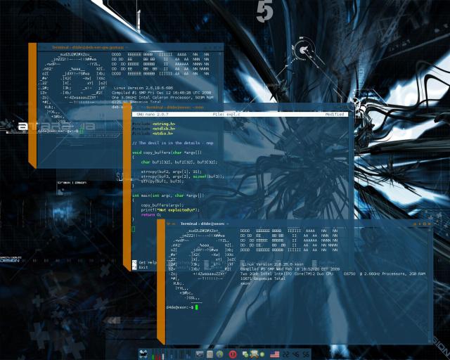 Debian Lenny/stable amd64 with a hand made theme.