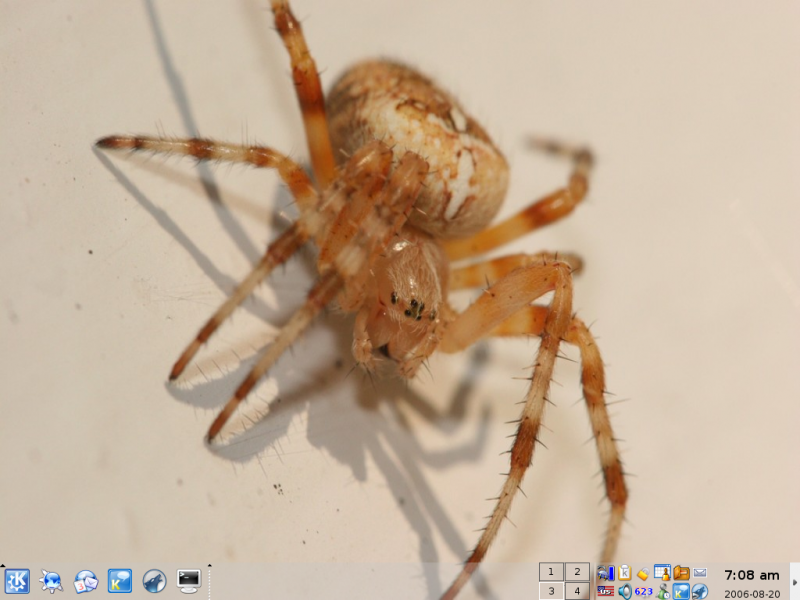 Yet Another Ordinary KDE Snapshot